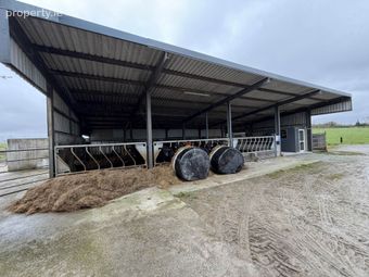 Tubrid, Shanagolden, Limerick, Co. Limerick, Creeves, Co. Limerick - Image 4
