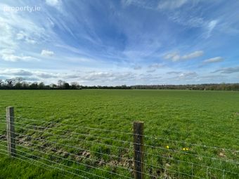 Lot 2: C. 26.93 Acres, Gormanstown, Kilcullen, Co. Kildare, Kilcullen, Co. Kildare - Image 2