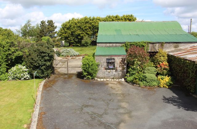 Main Street, Carnew, Co. Wicklow - Click to view photos