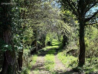 Tawnymucklagh, Monasteraden, Sligo, Monasteraden, Co. Sligo - Image 5
