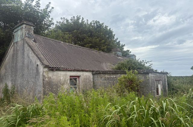 Shragh, Kilrush, Kilrush, Co. Clare - Click to view photos