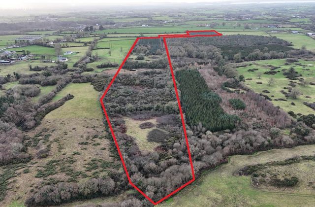 Crokerspark, Kildimo, Pallaskenry, Co. Limerick, Pallaskenry, Co. Limerick - Click to view photos