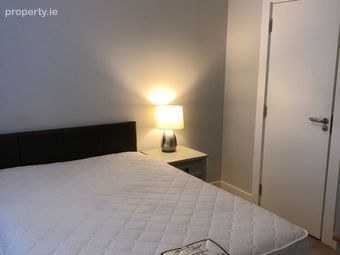 Baggot Street Lower, Dublin 2 - Image 4