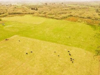 Lands Knockardtry, Castleisland, Co. Kerry - Image 3