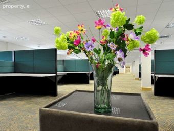 Lacken Plaza, Bracetown Business Park, Clonee, Dublin 15, Dublin 15 - Image 3
