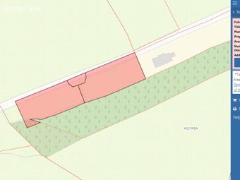 Kiltrea, Enniscorthy, Co. Wexford, Enniscorthy, Co. Wexford - Image 4