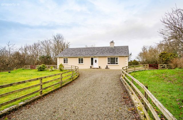 Taylor's Garden, Moneydarragh, Gleneely, Gleneely, Co. Donegal - Click to view photos