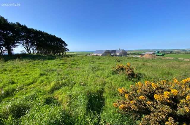Clashreagh, Kilbrittain, Co. Cork - Click to view photos