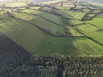 Mount Oriel, Collon, Co. Louth - Image 3