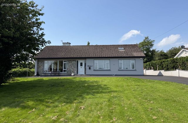 Swan Lake, Lough Gur, Bruff, Co. Limerick, Bruff, Co. Limerick - Click to view photos