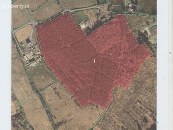 Castlebawn, Ballinalee, Co. Longford