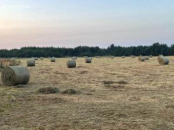 81.6 Acres Feighcullen, Rathangan, Co. Kildare, Rathangan, Co. Kildare - Image 3