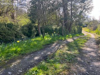 Oranhill, Oranmore, Co. Galway - Image 2