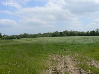 Tiaquin Demesne, Athenry, Co. Galway - Image 3