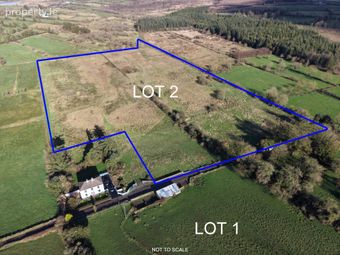 C. 28.80 Acres, Cornashinnagh, Fourmilehouse, Co. Roscommon, Four Mile House, Co. Roscommon - Image 2