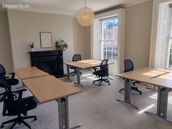 The Wildleaf @ 62 Baggot Street Lower, Dublin 2