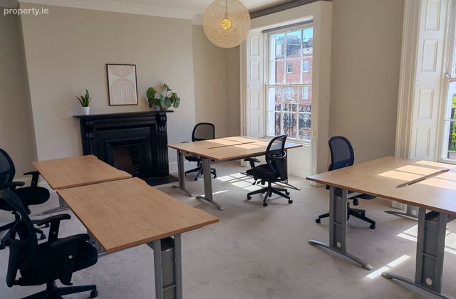The Wildleaf @ 62 Baggot Street Lower, Dublin 2 - Click to view photos