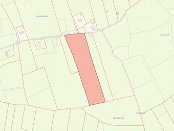 Baunynav, Loughrea, Co. Galway, Abbey, Co. Galway - Image 2