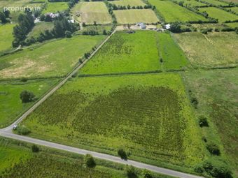 Residential Holding On, C.20 Acres (can Be Sold Seperately), Slieveroe, Frenchpark, Co. Roscommon, Frenchpark, Co. Roscommon