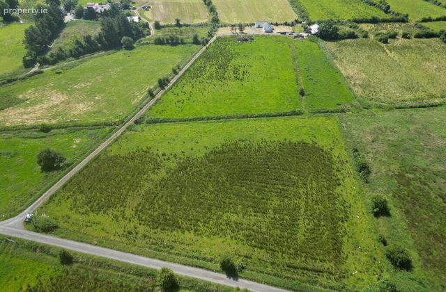 Residential Holding On, C.20 Acres (can Be Sold Seperately), Slieveroe, Frenchpark, Co. Roscommon, Frenchpark, Co. Roscommon - Click to view photos