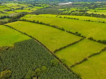 Ben Of Fore, Castlepollard, Co. Westmeath - Image 4