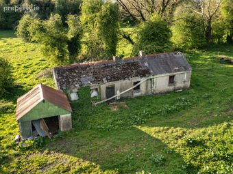 Derryvarogue, Donadea, Co Kildare, Donadea, Co. Kildare - Image 2