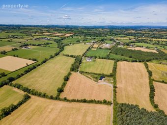 Farm At Newtown - Entire, Bonnettstown, Co. Kilkenny, Tullaroan, Co. Kilkenny - Image 3