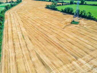 32.6 Acres Ballygibbon East, Carbury, Co. Kildare, Carbury, Co. Kildare - Image 5