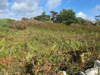 Bothar Bui, Carraroe, Co. Galway - Image 4