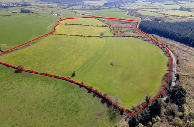 C.39 Acres (15.79ha) Slanelough, Ashford, Co. Wicklow - Click to view photos