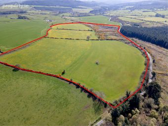 C.39 Acres (15.79ha) Slanelough, Ashford, Co. Wicklow