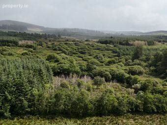 Maulahorna, Macroom, Co. Cork - Image 3