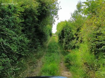 Ballyoughna, Ballygarrett, Co. Wexford - Image 2