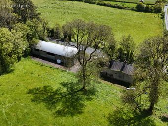 36.35 Acres (approx.) Residential Farm At Castleplunkett, Castlerea, Co. Roscommon, Castleplunkett, Co. Roscommon - Image 3