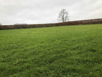 Poulacapple East, Mullinahone, Co. Tipperary, Mullinahone, Co. Tipperary - Image 2