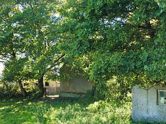 Derelict Cottage &amp; Lands Cloonagashel, Ballymote, Co. Sligo - Image 4