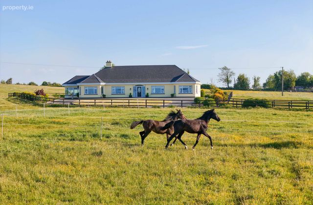 Doogary, Aghamore, Ballyhaunis, Co. Mayo - Click to view photos
