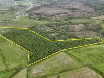 Treanboy, Ballymoe, Co. Roscommon, Ballymoe, Co. Galway - Image 3