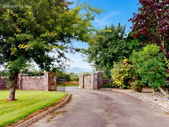 Tomlane, Oylegate, Co. Wexford, Oilgate, Co. Wexford - Image 2