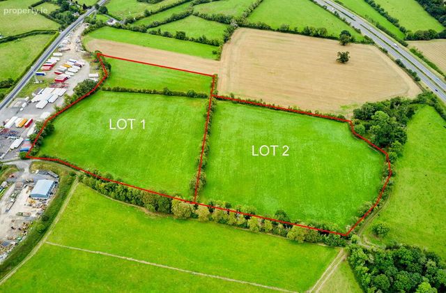 19 Acres Ballyonan, Broadford, Co. Kildare, Broadford, Co. Kildare - Click to view photos