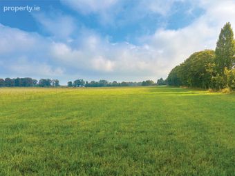 C. 32 Acres, Moorhill, Brannockstown, Co. Kildare - Image 3