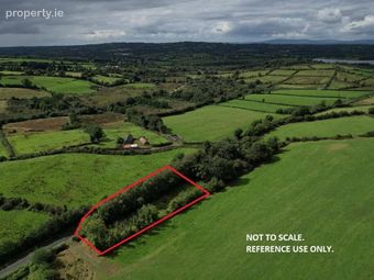 Fyora Or Fihoragh, Moyne, Co. Longford, Moyne, Co. Longford - Image 2