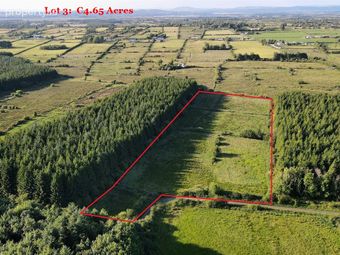 Cloonfad, Tibohine, Roscommon, Tibohine, Co. Roscommon - Image 2
