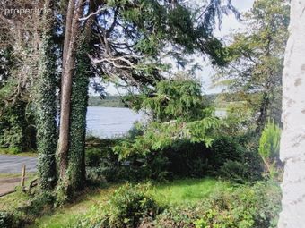 Lakeside Cottage Corrigeencor, Dromahair, Co. Leitrim - Image 3