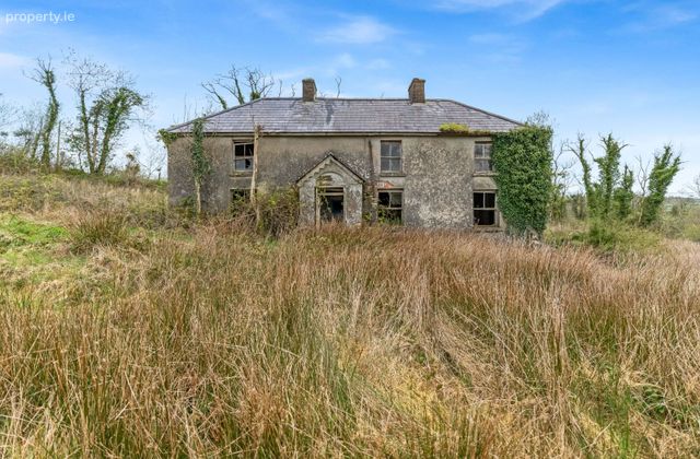 Tunnyduff Lane, Tunnyduff, Canningstown, Co. Cavan - Click to view photos