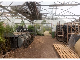 Stams Bamboo Nursery Ltd., Ballinwillin, Lismore, Co. Waterford - Image 5