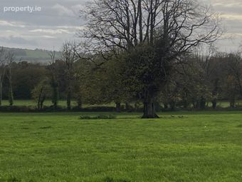 Ballynarooga, Ballingarry, Limerick, Co. Limerick, Castletown, Co. Limerick - Image 2