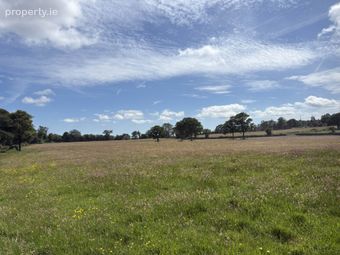 Banogue (c. 106 Acres), Gorey, Co. Wexford, Gorey, Co. Wexford - Image 3