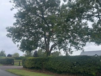 Hayestown, Navan, Co. Meath, Navan, Co. Meath - Image 2