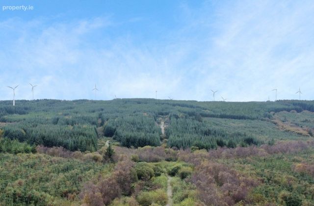 Forestry Land, Cappagh, Kilflynn, Co. Kerry, Kilflynn, Co. Kerry - Click to view photos